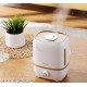 Humidificador Ultrasónico Cool Mist para Hogar 4L